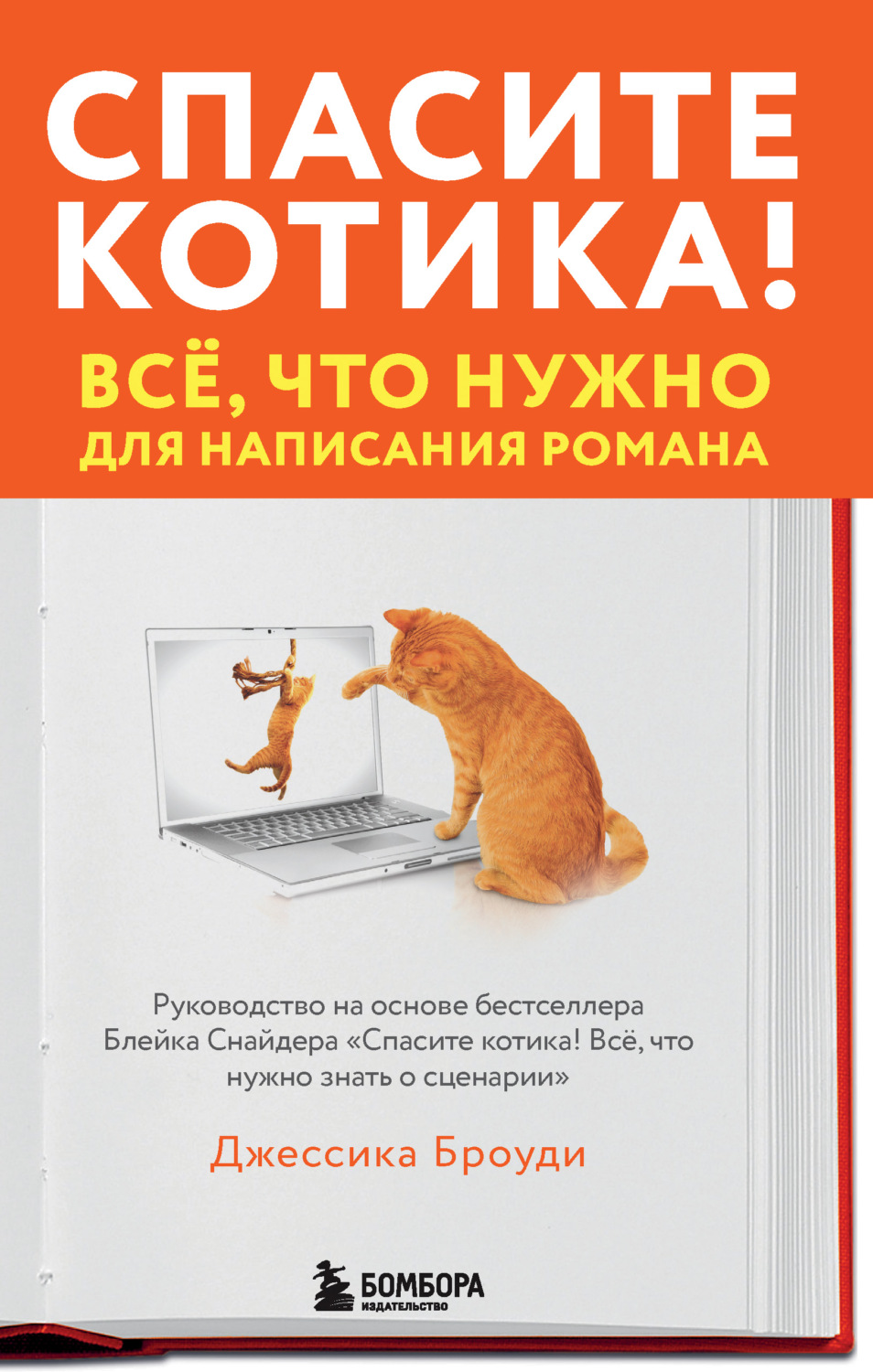 Спасите котика! Всё, что нужно для написания романа